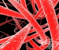 ���� ������� �� ����������� ������� �� ������� �� �������� � ������� ������